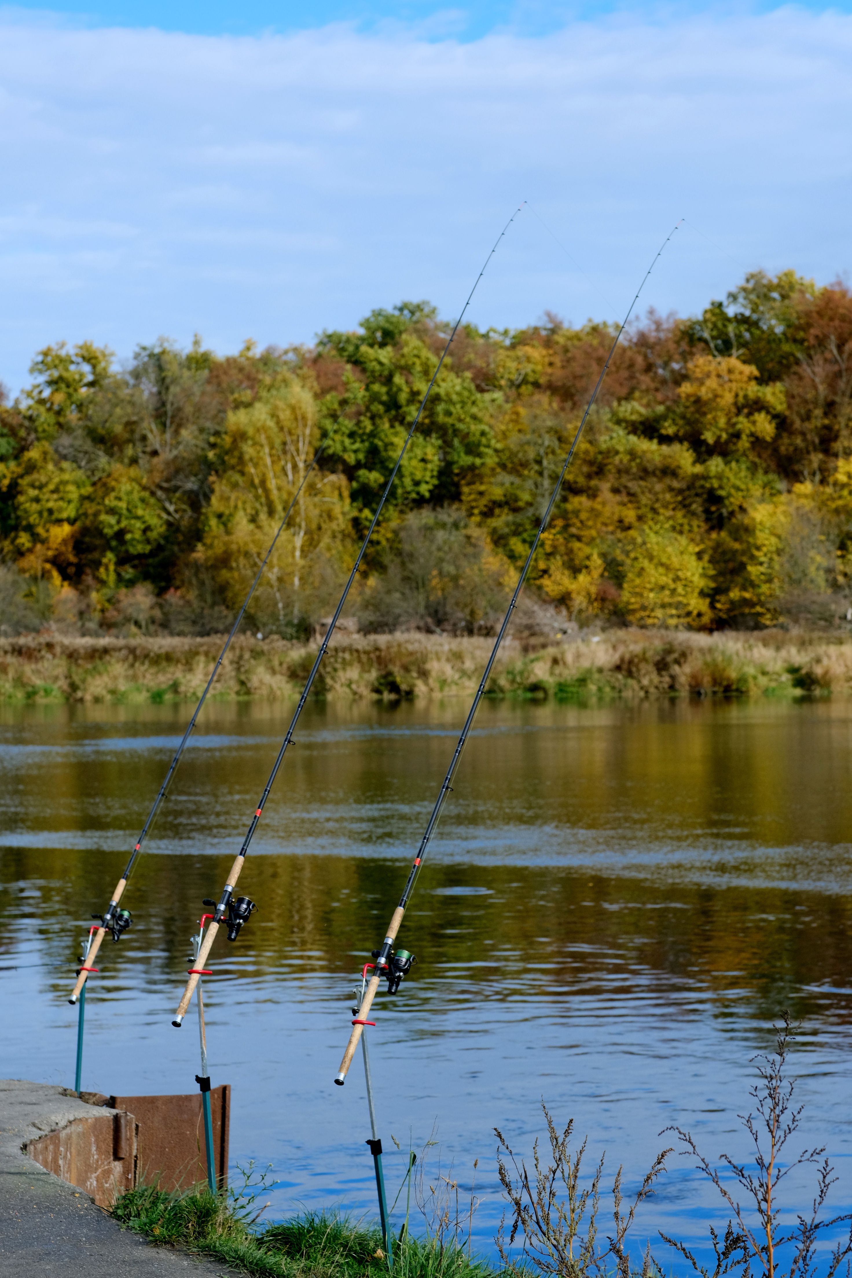 Fishing rods on the riverbank in Upper Teesdale