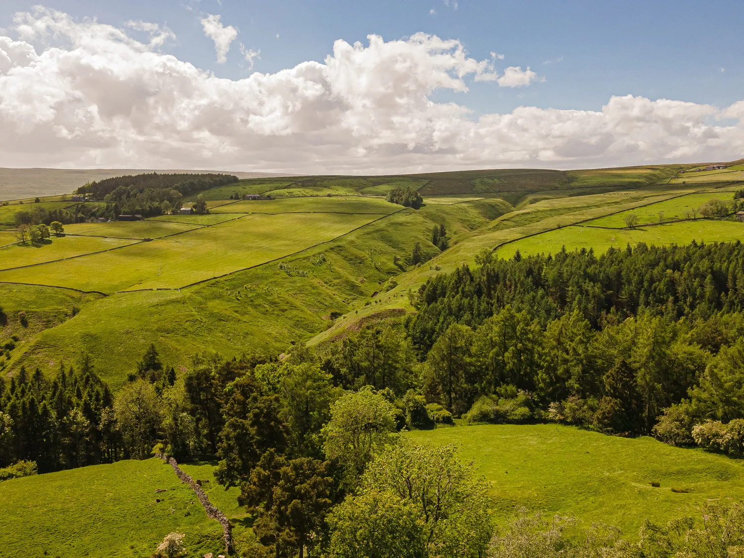 Upper Teesdale valley and moorland
