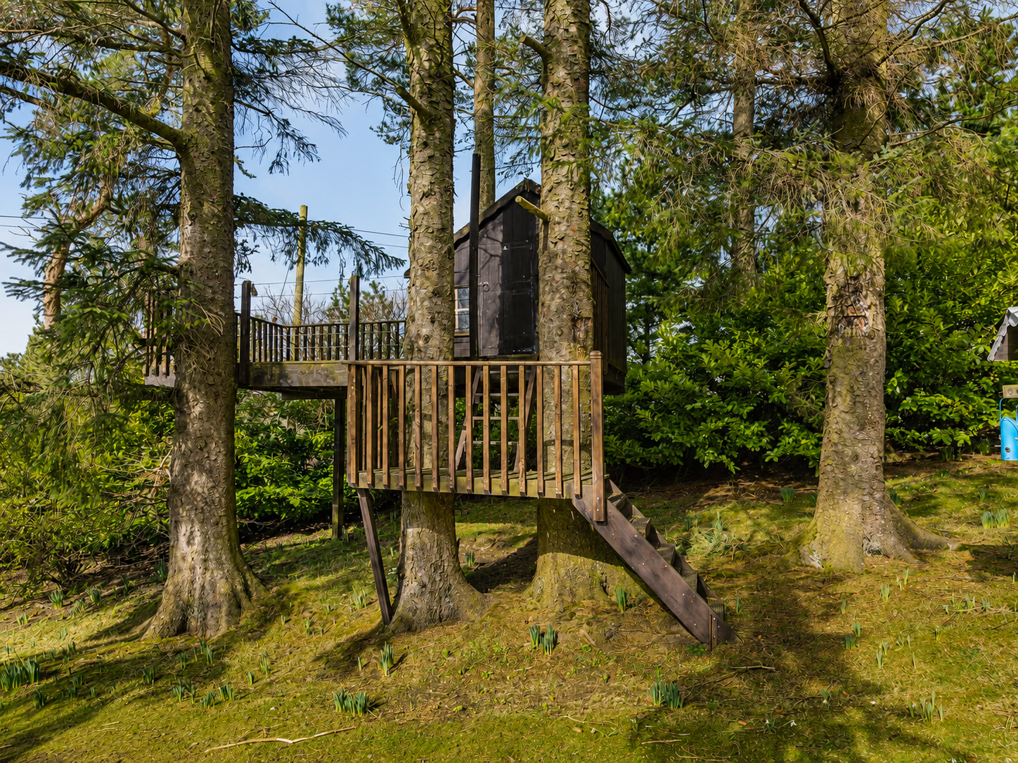 Tree house in the grounds at Heather Brae